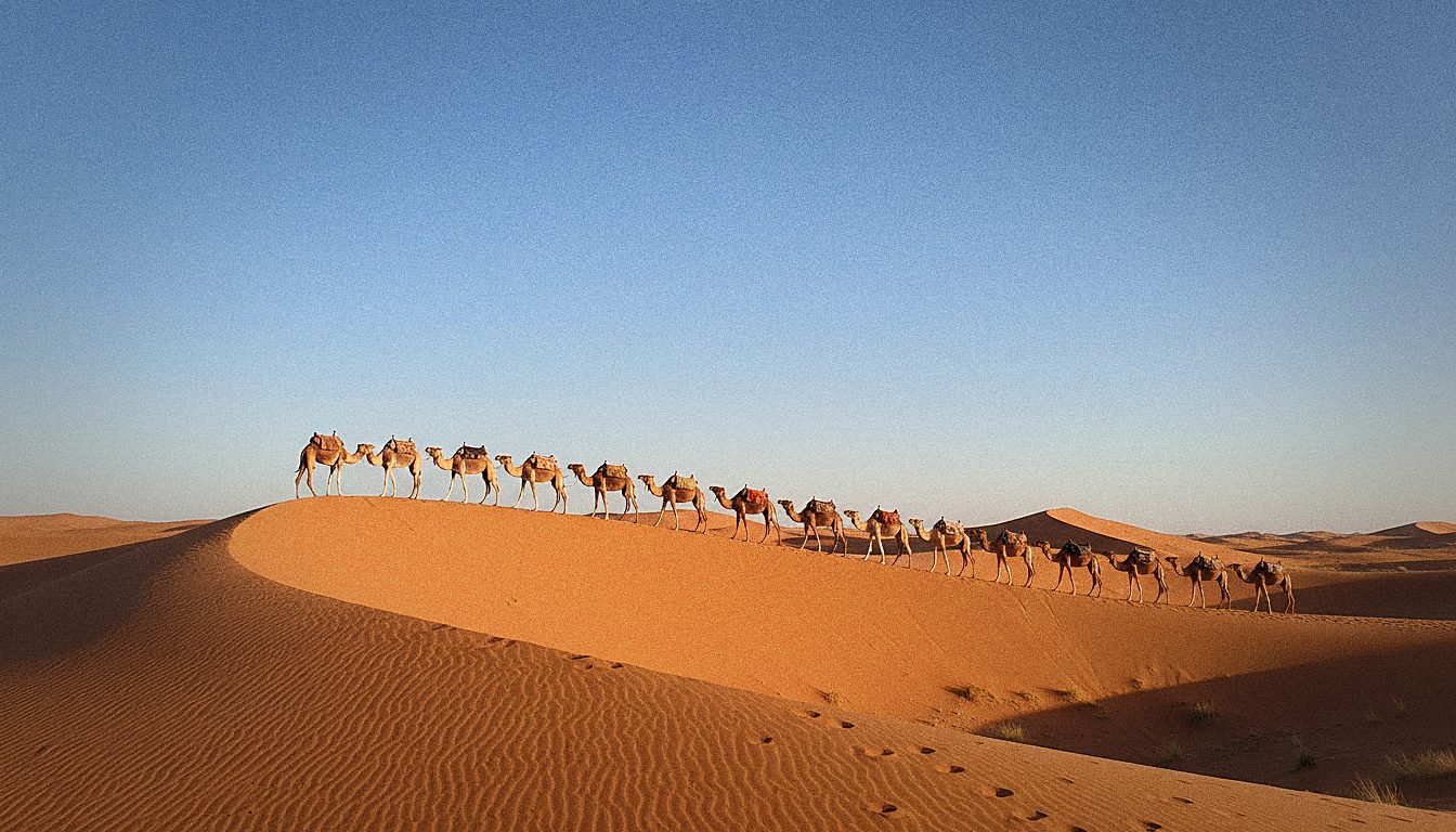 Kameelkaravaan tussen de rode zandduinen van Erg Chebbi bij zonsondergang